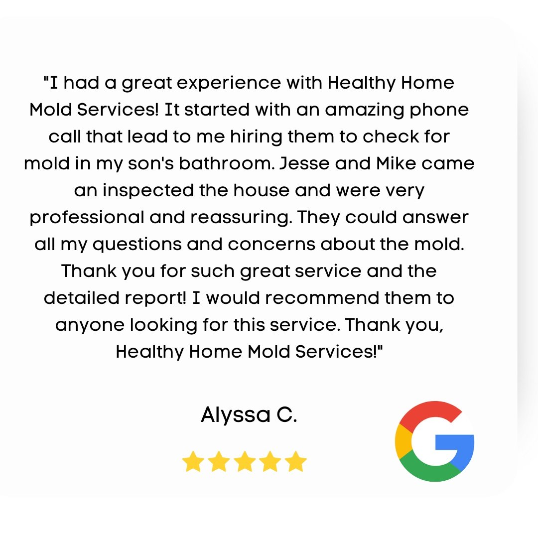 Alyssa C Review Mold Remediation Woodstock IL