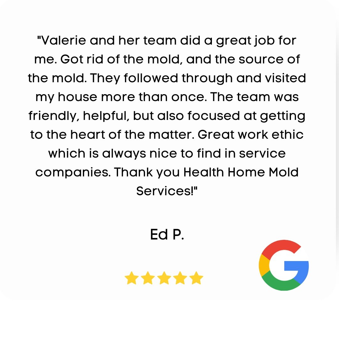 Ed P Review Black Mold Removal Woodstock IL