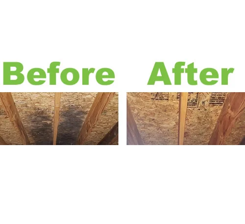 Before and after photo of attic mold removal in Cary, IL by Healthy Home Mold Services, showcasing effective mold remediation results.>