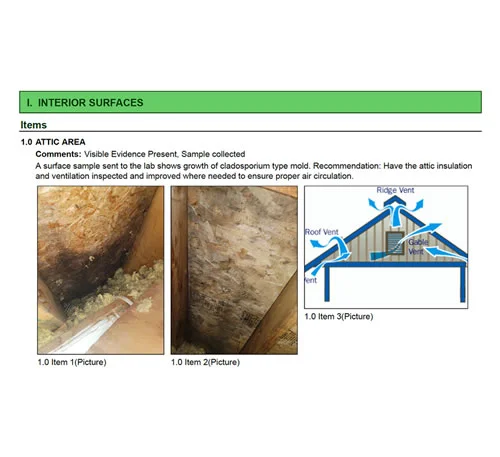 Map of a Cary, IL home highlighting areas with detected mold during a professional mold testing inspection