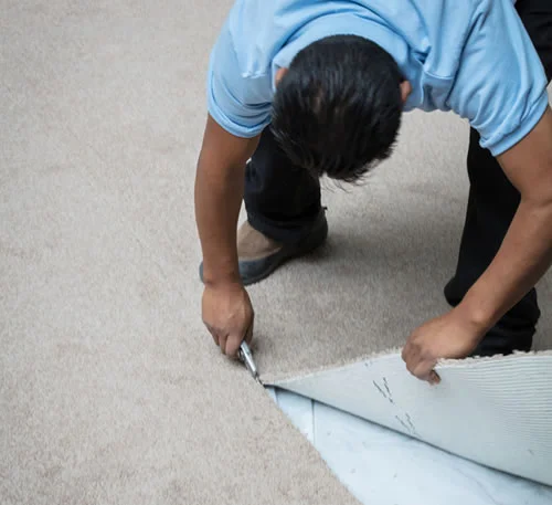 Professional cutting and removing carpet during mold remediation