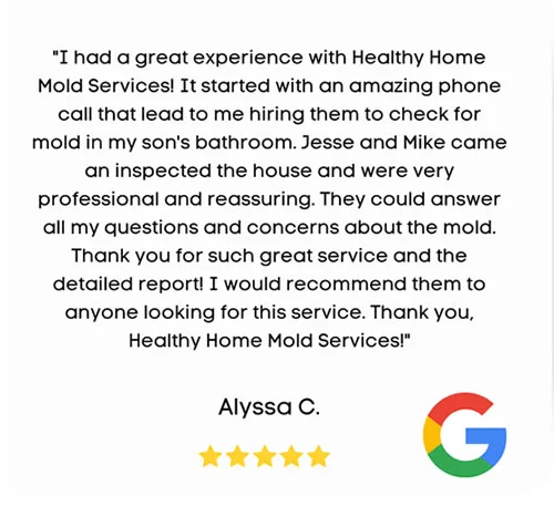 Alyssa C’s review of mold remediation services in Lake Geneva, WI We’re not your average mold remediation company. Here’s why Lake Geneva homeowners trust Healthy Home Mold Services for mold inspection, mold testing, and mold removal: