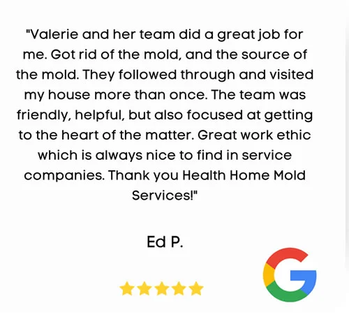 : Lake Geneva mold remediation customer review by Ed P Many Lake Geneva homeowners don’t realize how costly outdated or sloppy mold remediation can be—both for their health and wallet. Common issues we see include